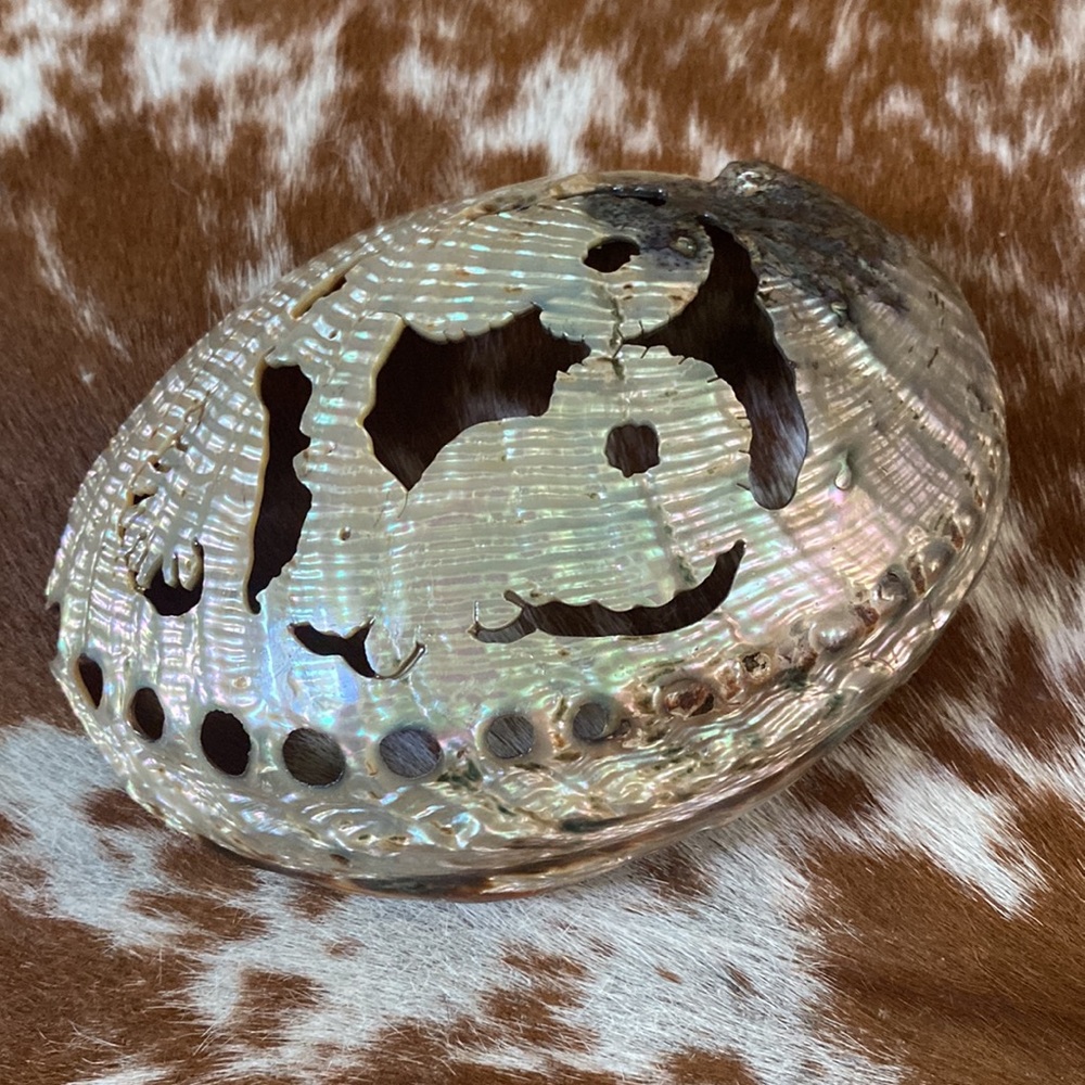 Abalone Shell π¦β€οΈπ¦ - Picture 4 of 10